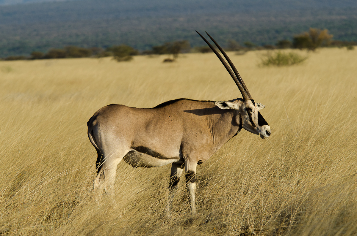 7 Days Trekking on Bale Mountains National Park